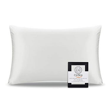 2-Pack with Gift Package Queen 20'' × 30'', Lilac Acne Free Hidden Zipper Pillow Cover ENETIX Luxury Silk Satin Pillowcase for Hair and Skin 